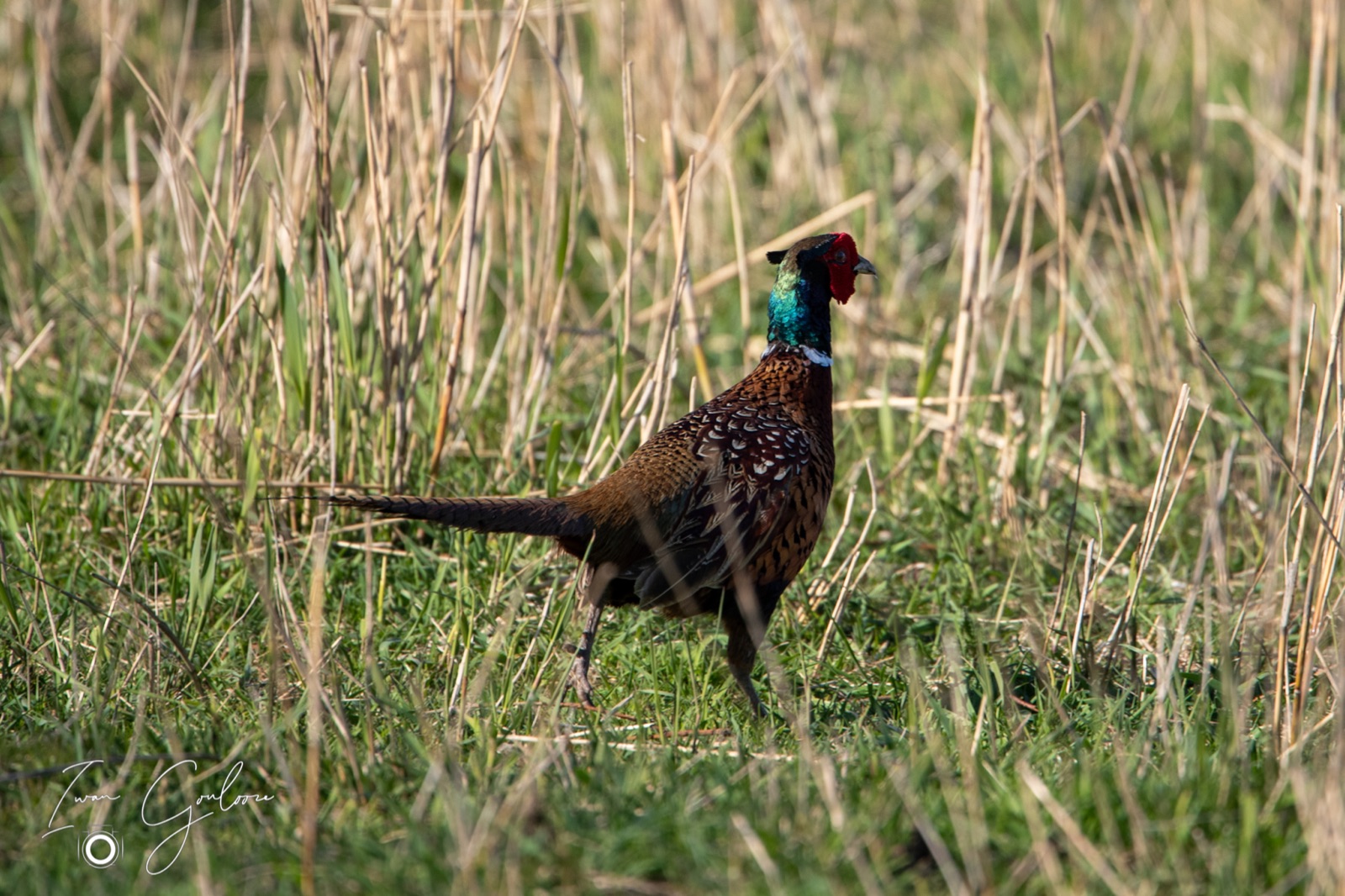 24 april 2022 175313 1DX40425